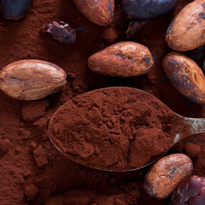 Duyvis-Wiener-cocoa-processing