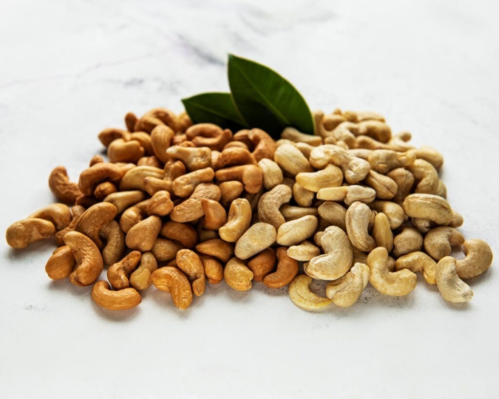 Cashew nut processing-plant