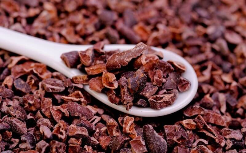 Cocoa nibs grinder